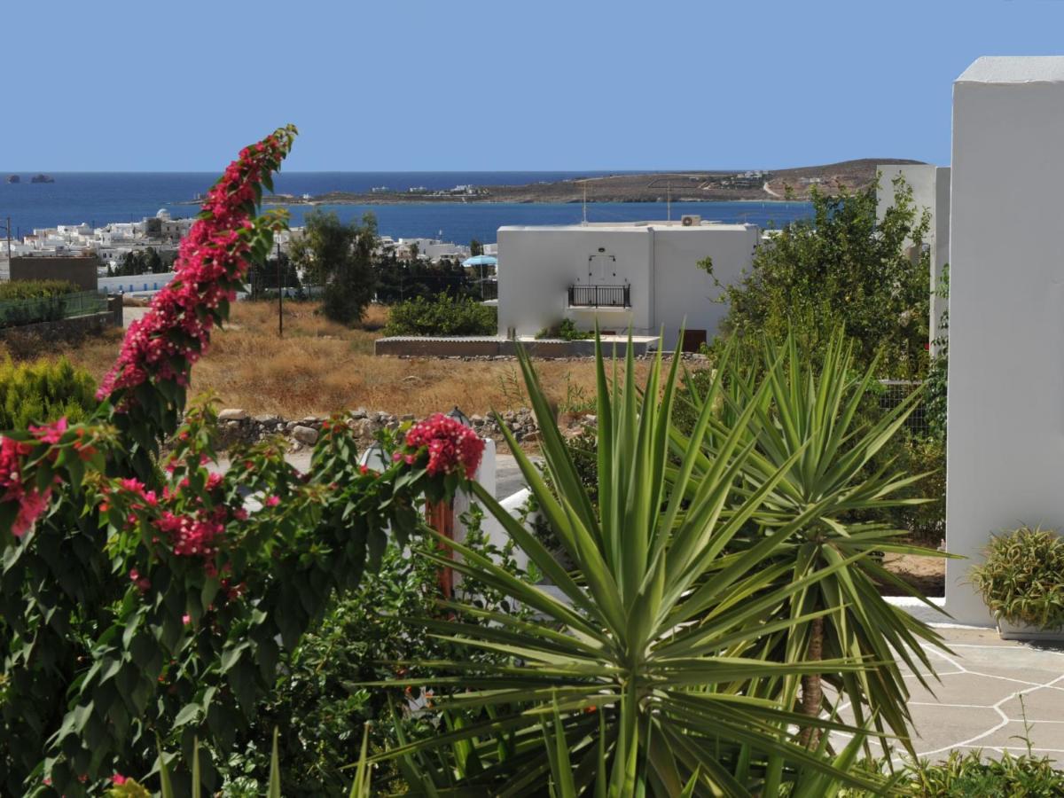 Paros Reppas House "Portes" Екстер'єр фото